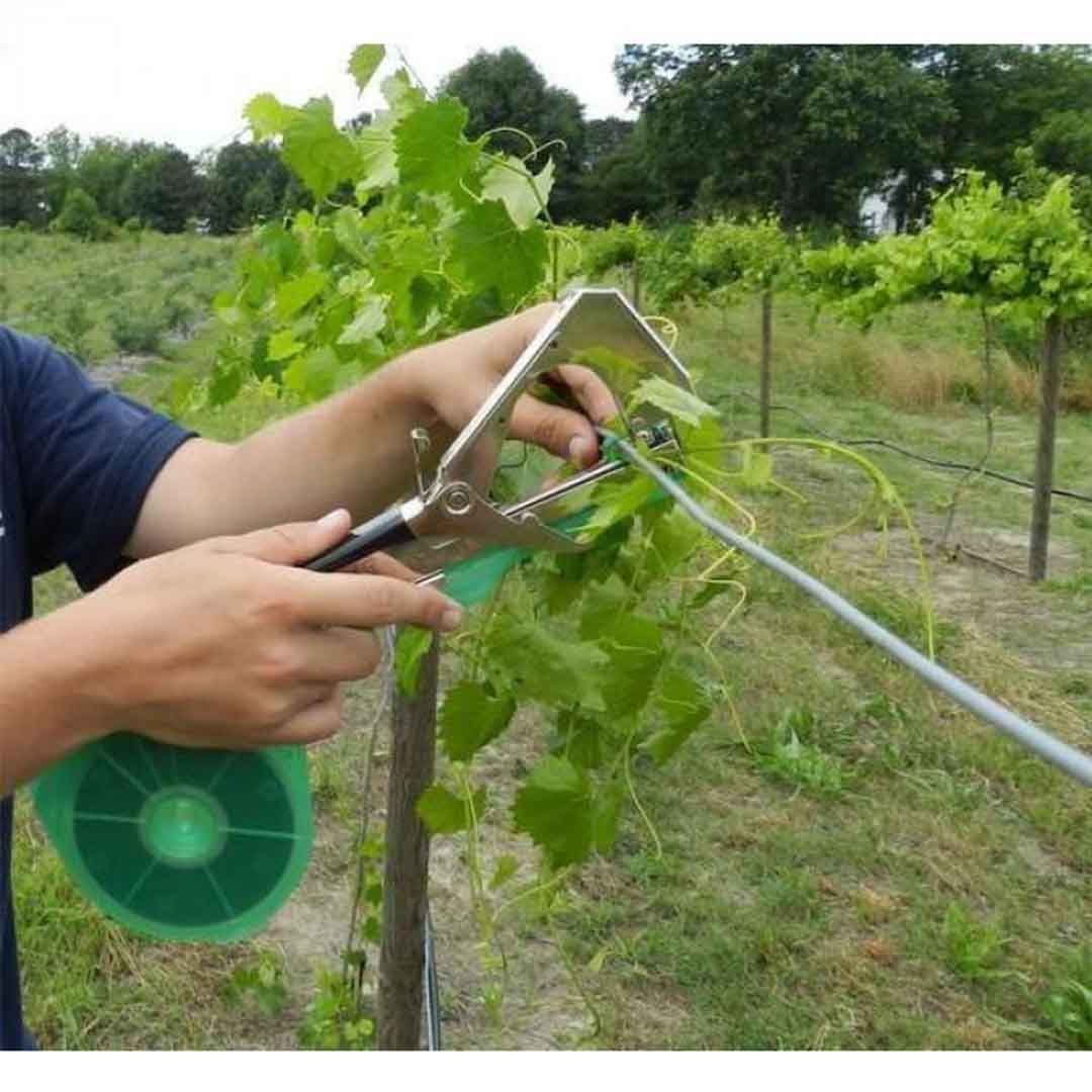 Aparat pentru legat vita de vie, pomi fructiferi si legume + 20 Role + 10 000 Capse CADOU