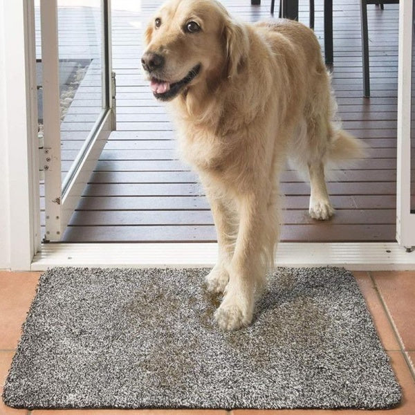 Covoras intrare absorbant antimurdarie Super Clean Mat