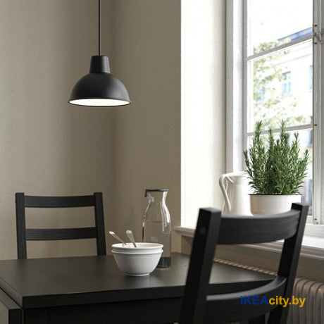 Lustra neagra, 19 cm