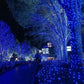 1+1 GRATIS Instalatie 100 LED pentru exterior cu incarcare solara albastra
