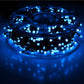 Set 2 x Instalatie Liniara Rola 50 m, Interior/Exterior , 300 LED-uri, Alb Rece, Albastru