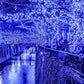 Set 2 x Instalatie Liniara Rola 50 m, Interior/Exterior , 300 LED-uri, Alb Rece, Albastru