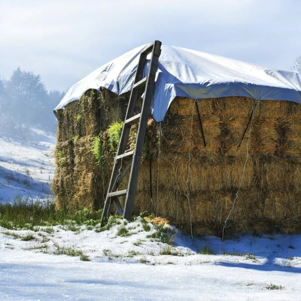 Set 2 x Prelata Albastra 5x6m